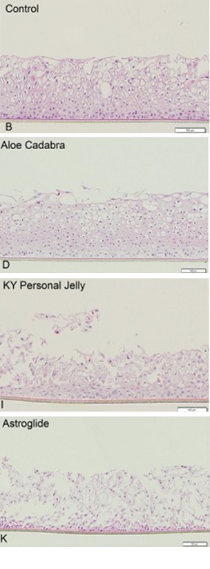 lubricants effect on epithelium.jpg