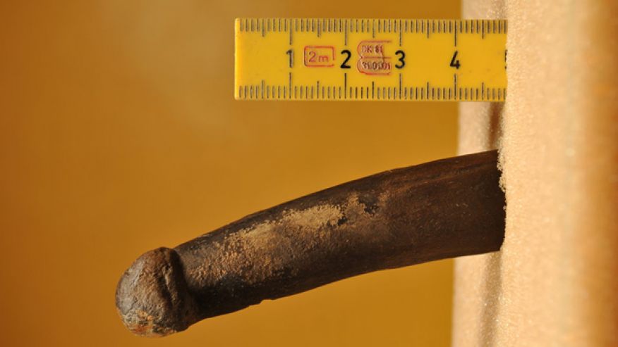 6,000 – 4,000 BCE. A phallus carved from deer antler.